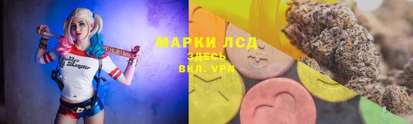 стаф Алзамай