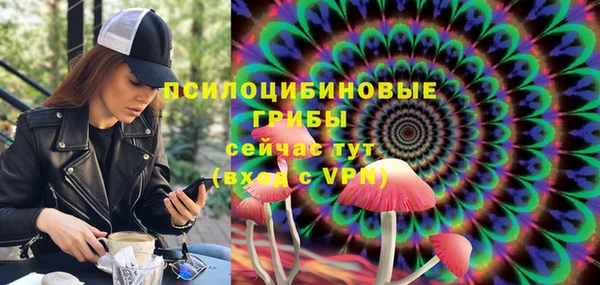 стаф Алзамай
