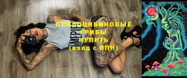 амф Алексеевка
