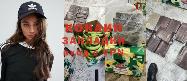 стаф Алзамай