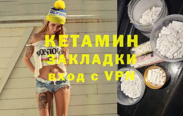 стаф Алзамай