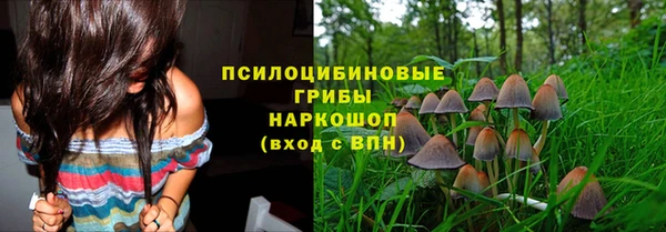 стаф Алзамай
